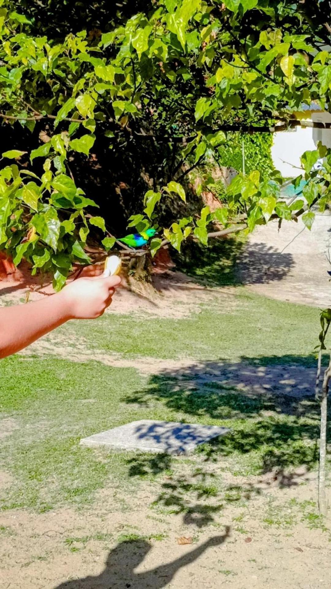 Pousada Casa Da Montanha Sana Buitenkant foto