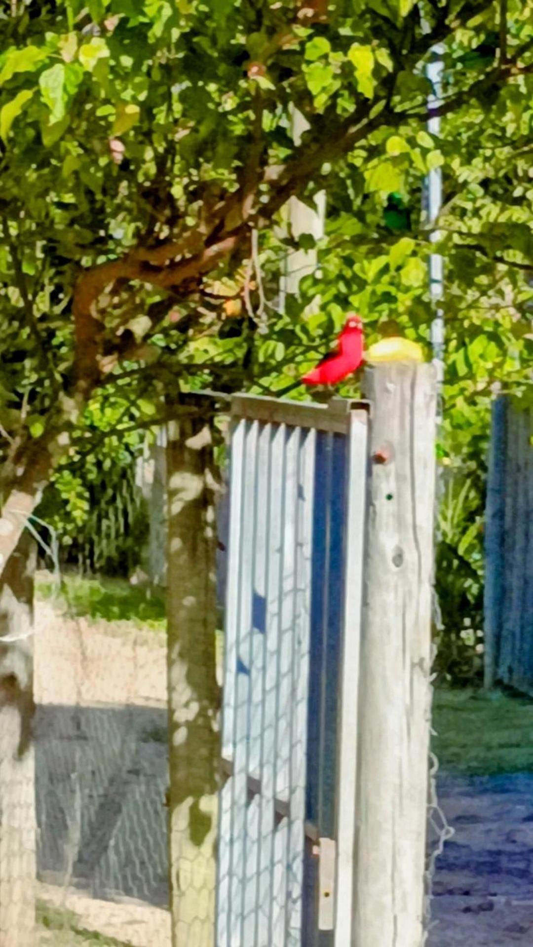 Pousada Casa Da Montanha Sana Buitenkant foto